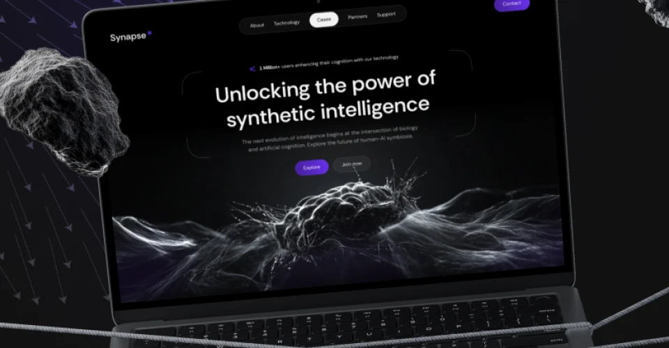 Portfolio Synapse